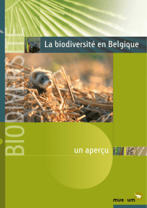 La biodiversité en Belgique un aperçu