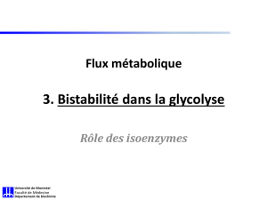 3_Bistabilite dans la glycolyse - ESI