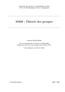 M308 : Théorie des groupes