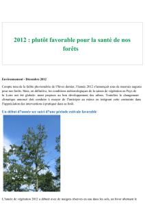 2012 : plutôt favorable pour la santé de nos forêts