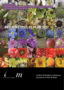 PAS SI BêTES, LES PLANTES