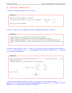 I) Auto-test : Matrices (I)