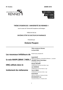 Océane Poupon Les nouveaux inhibiteurs de la voie MAPK (BRAF
