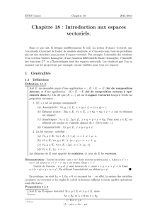 Chapitre 18 : Introduction aux espaces vectoriels.