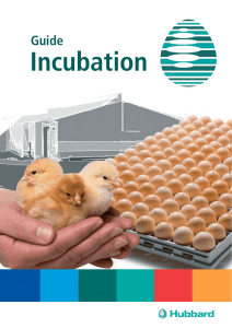 Guide Incubation