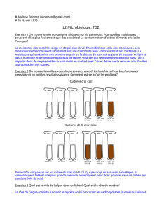 L2 Microbiologie: TD2