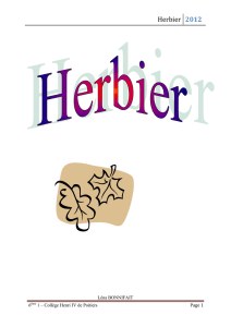 Herbier 2012