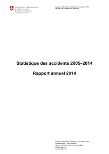 Statistique des accidents 2005–2014 Rapport annuel 2014