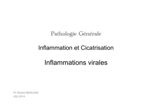 Inflammations virales