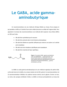 Le GABA, acide gamma- aminobutyrique