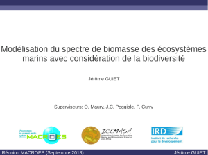 Modélisation du spectre de biomasse des écosystèmes marins avec