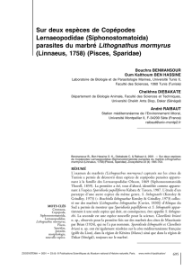 Télécharger l`article complet au format PDF