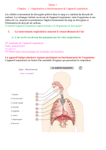 Organisation et fonctionnement de l`appareil respiratoire. Les