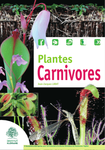 Plantes - Institut Klorane