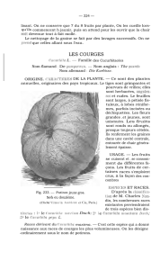 les courges - Réseau Semences Paysannes