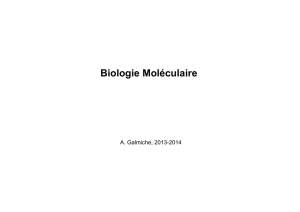 1. Reparation et stabilite genome