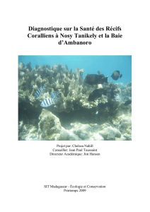 Diagnostique sur la Santé des Récifs Coralliens à Nosy Tanikely et