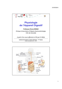 Physiologie de l`Appareil Digestif