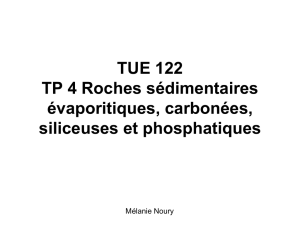 TUE 122 TP 4 Roches sédimentaires évaporitiques