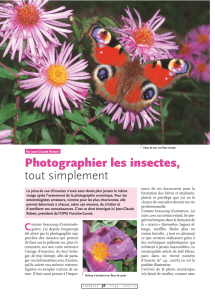 Photographier les insectes / Insectes n° 144