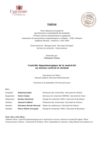 Consulter le texte int&eacute;gral de la th&egrave;se