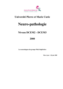Neuro-pathologie - CHUPS – Jussieu
