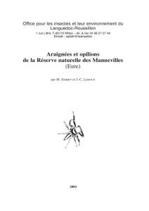 Araignées et opilions de la Réserve naturelle des Mannevilles (Eure)