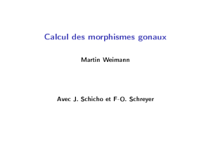 Calcul des morphismes gonaux