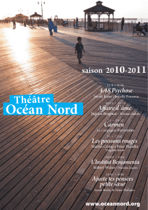 4.48 Psychose - Théâtre Océan Nord