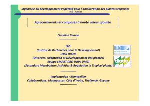 Agrocarburants et composés à haute valeur ajoutée