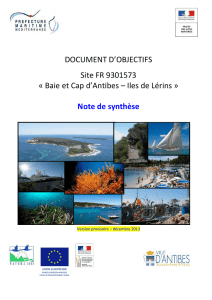 Note de synthèse Iles de Lérins - Les services de l`État dans les