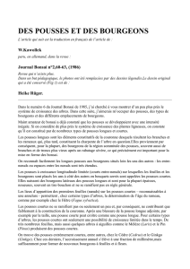 pousses_bourgeons ( PDF - 275.9 ko) - Bonsai