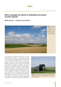 the French article in pdf