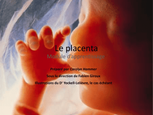 The Placenta - The Ottawa Hospital
