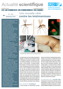 Fiche d`actualit&eacute; scientifique n&deg;383