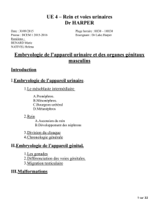 D1-Harper-EMbryologie de l`appareil urinaire et des organes