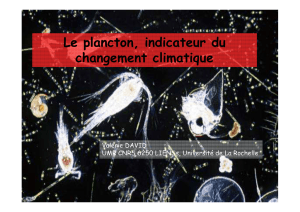 Le plancton, indicateur du changement climatique