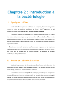 Chapitre 2 : Introduction à la bactériologie