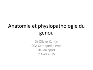 diu sport_lyon_anatomie et physiopathologie du genou_dr cantin
