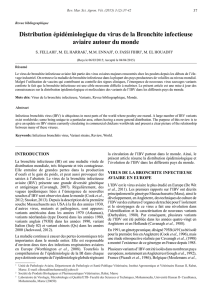 Télécharger ce fichier PDF - Revue Marocaine des Sciences