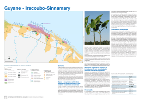 Guyane - Iracoubo-Sinnamary