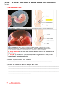 Activité 7 : comment peut se nourrir un fœtus sans manger