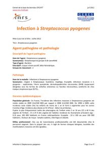 Infection à Streptococcus pyogenes