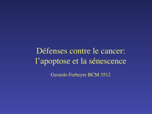 Défenses contre le cancer: l`apoptose et la sénescence
