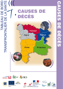 Causes de décès - Province de Hainaut