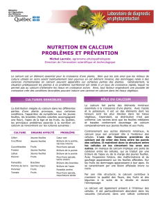 nutrition en calcium problèmes et prévention - Agri