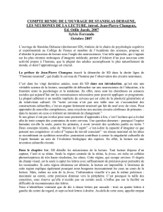 Compte rendu de l`ouvrage de Stanislas Dehaene, Les neurones de