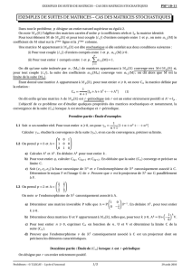 EXEMPLES DE SUITES DE MATRICES – CAS DES MATRICES