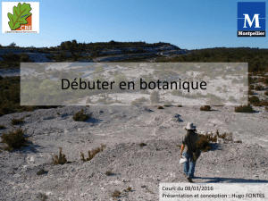 Débuter en botanique