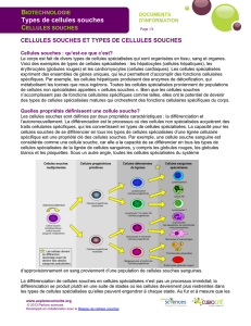 Types de cellules souches